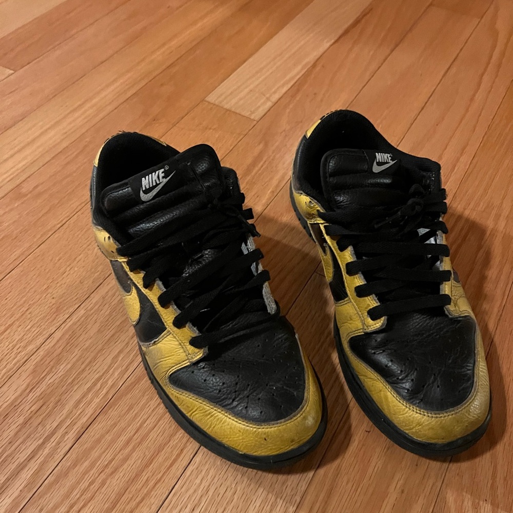 Nike dunks size 10.5